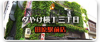 夕やけ横丁三丁目　田原駅前店